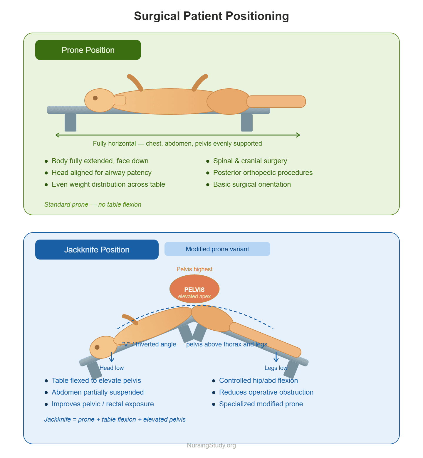 Jackknife Position