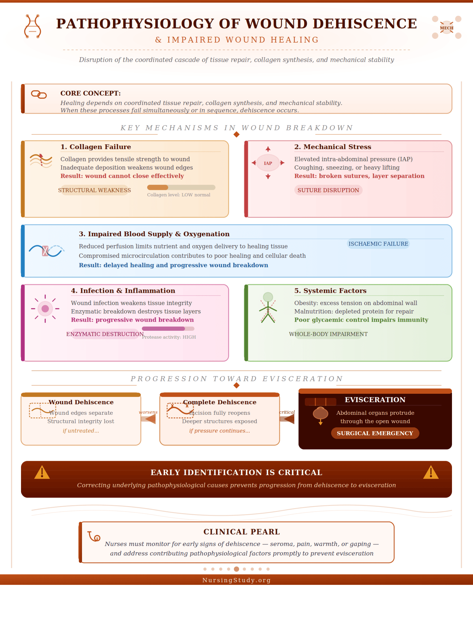 Wound Dehiscence and Evisceration