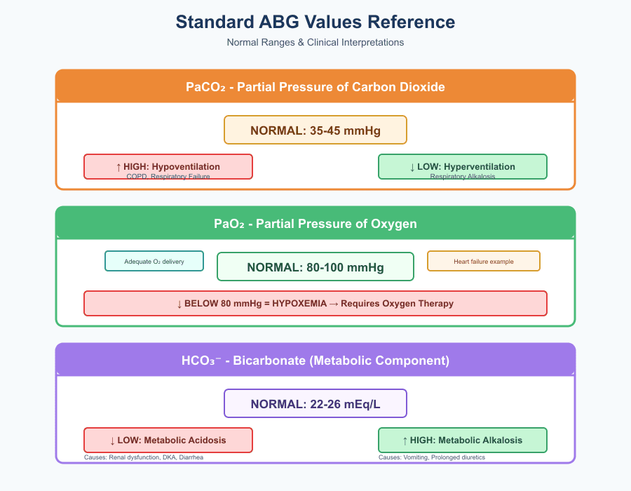 ABG Meaning