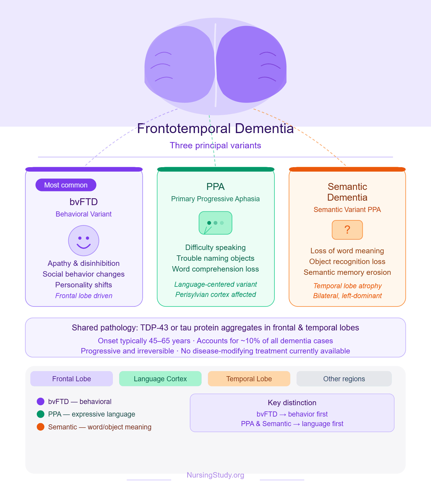 Frontotemporal Dementia