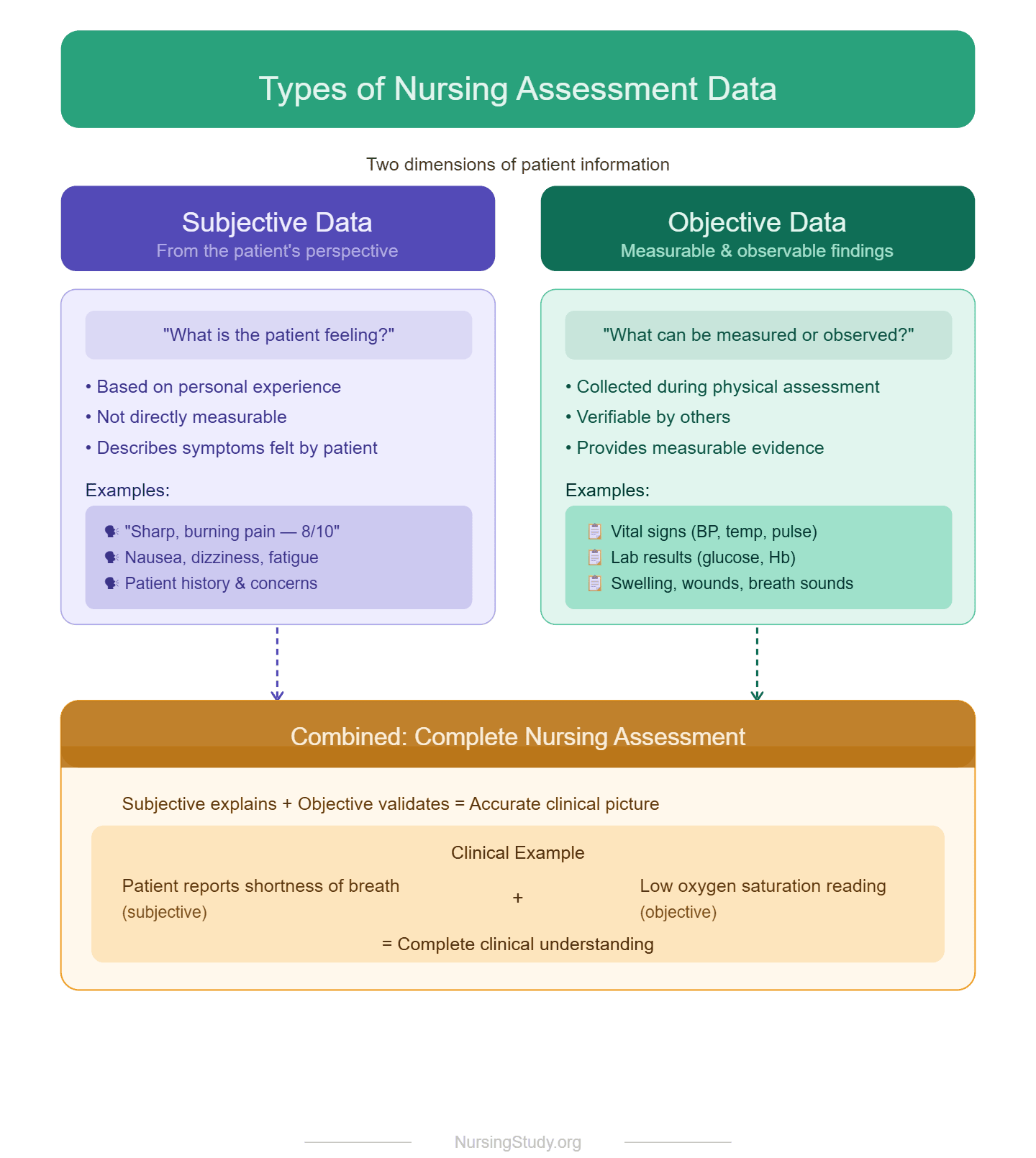 Subjective vs Objective Data in Nursing