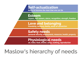 theory of needs