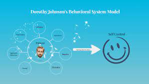 Johnson behaviour system model essay