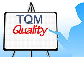 total quality management in nursing care essay