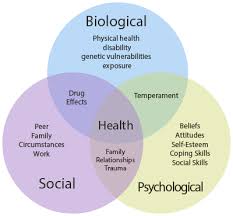 (Biopsychosocial Model in Nursing Essay Sample)