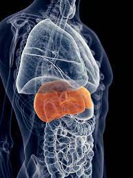 Chronic Obstructed Pulmonary Disease