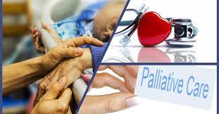Role of Nurses in Providing Palliative Care to Patients with Chronic Conditions