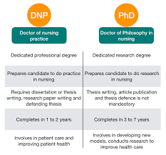 Navigating the DNP and PhD Program: A 19 Steps Comprehensive Guide