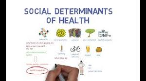 PICOT Questions Examples on Health Disparities and Social Determinants of Health