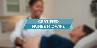 17 Key Insights into the Vital Role of Certified Nurse-Midwife: Empowering Expectant Mothers with Positive Healthcare