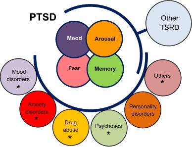  Psychotherapy with Trauma and Stressor-1