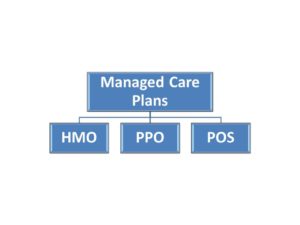 The Managed Care Plan