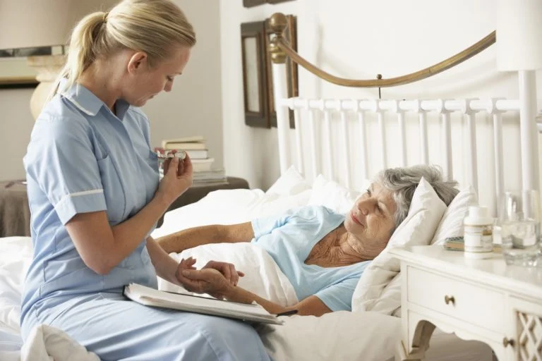 Comprehensive Nursing Paper Example on Emerging Areas of Human Health-Aging