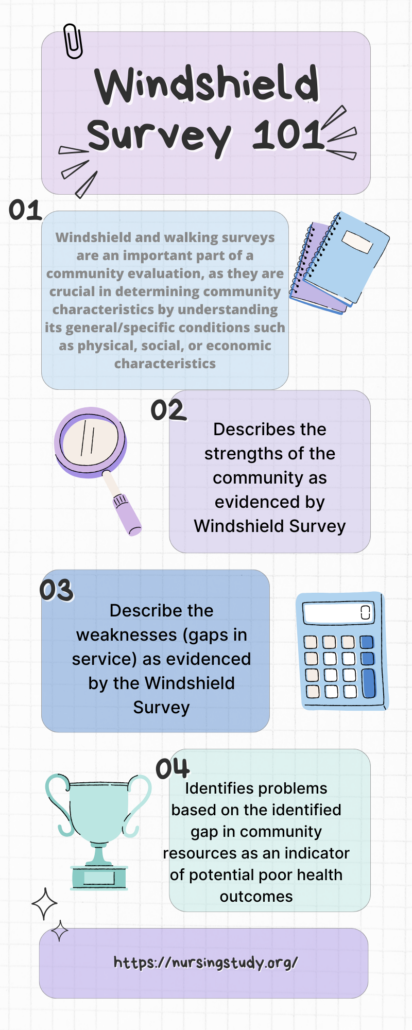 Windshield Survey Nursing Examples