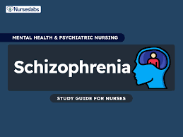 Psychiatric Evaluation of a Schizophrenia Patient