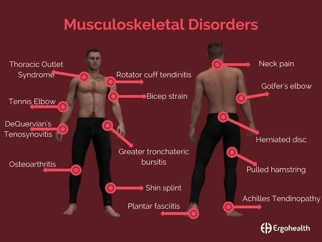 Musculoskeletal health dysfunctions