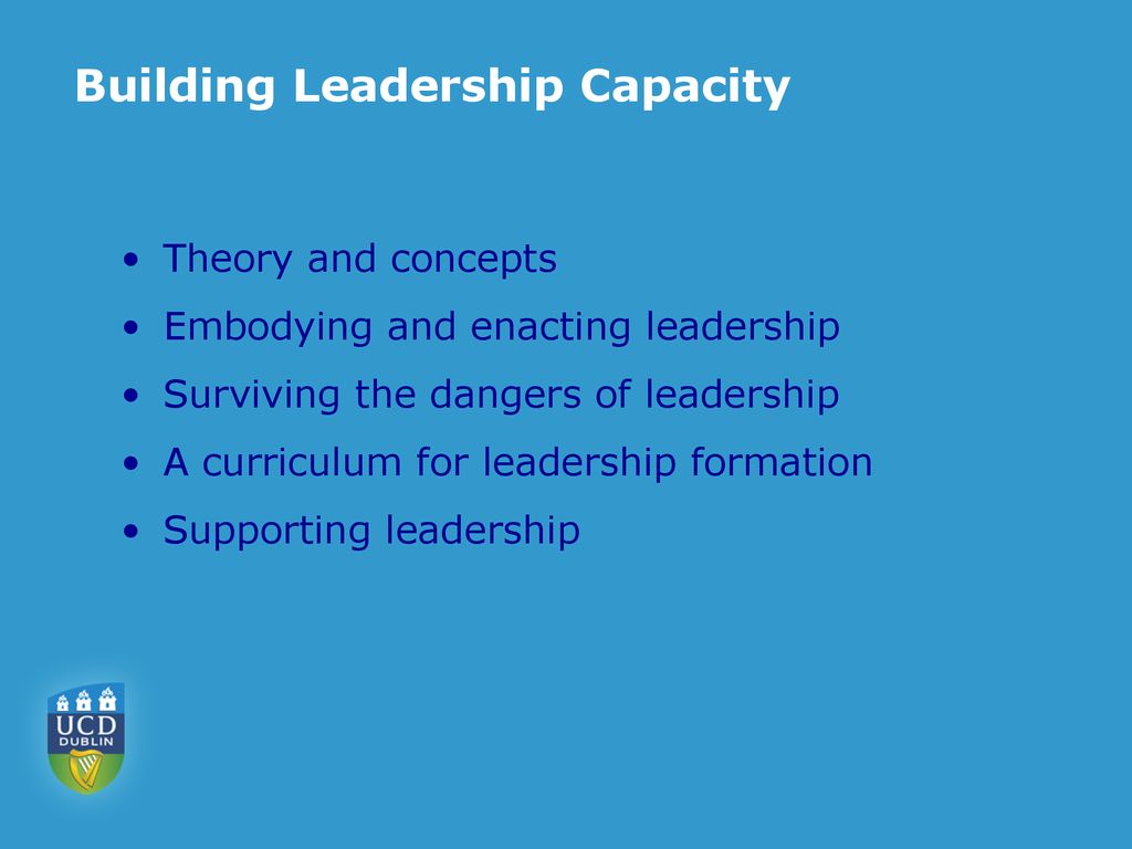 Building Leadership Capacity-Nursing Paper Sample