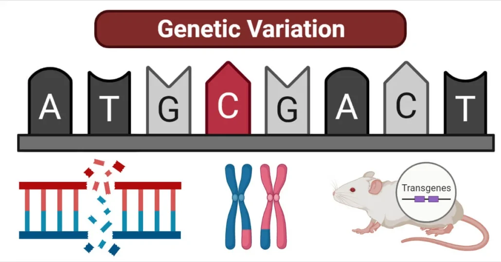 Individual Variations in Genetic-Nursing Paper Examples
