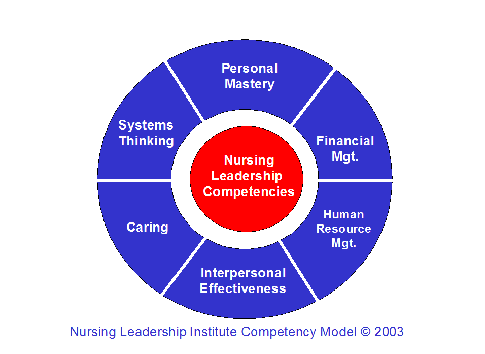 Leadership competency-Nursing Paper Examples