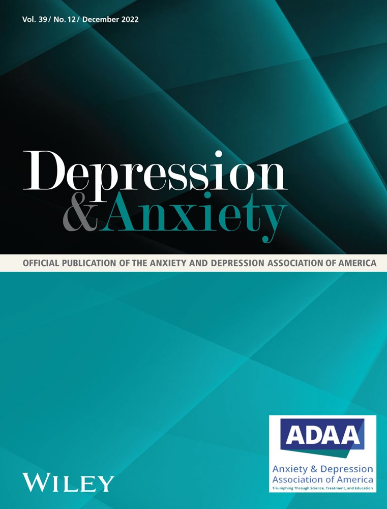 Anxiety and Depression-Nursing Paper Examples