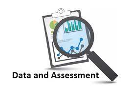 Data Assessment-nursing Paper Examples