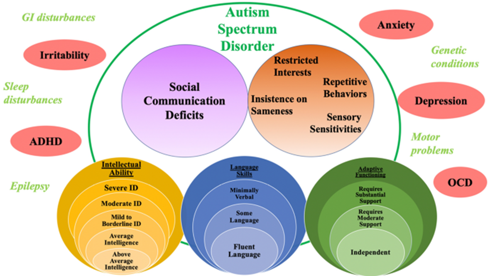 Neurodevelopmental Assignment on Autism Study Guide Forum Comprehensive Nursing Paper Example