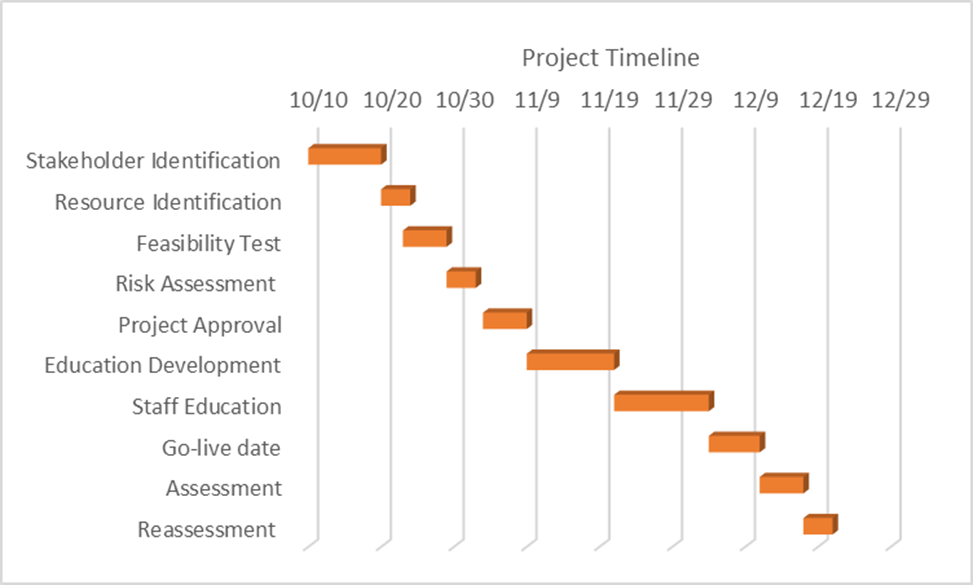 Project Timeline Comprehensive Nursing Paper Example