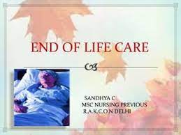 End-of-Life Care Decisions-nursing Paper Examples