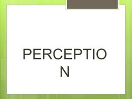 Perspectives on Perception-Nursing paper Examples
