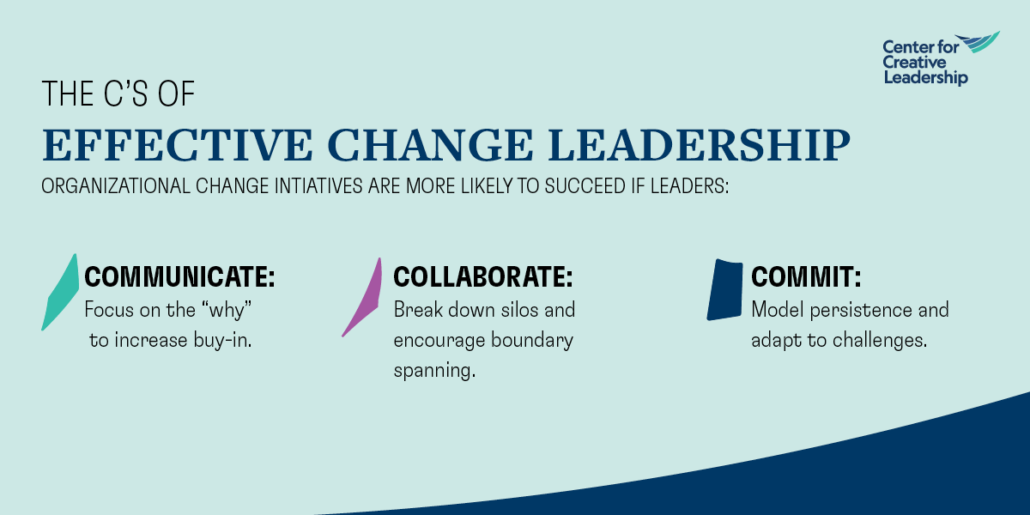 Leadership Change Plan-Nursing Paper Examples
