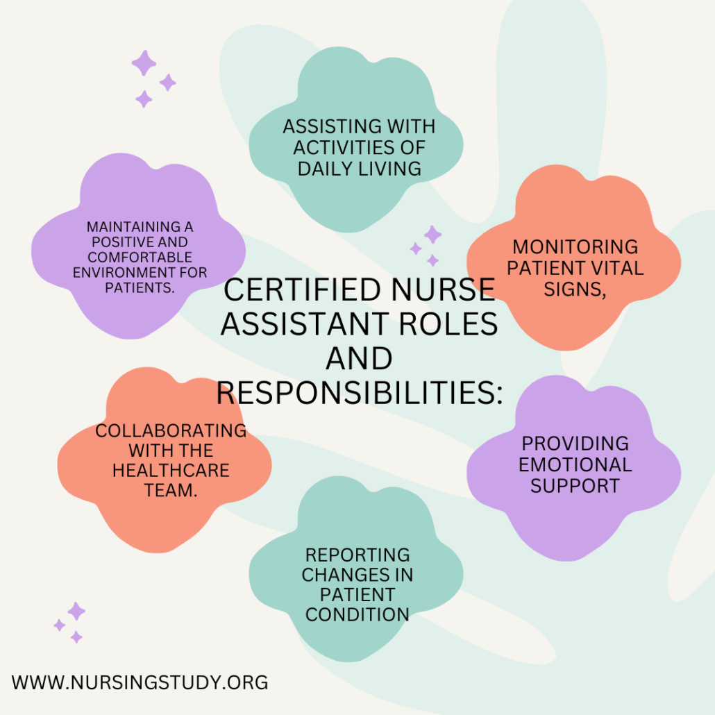 Unveiling the World of Certified Nurse Assistant: Roles, Requirements, and Career Insights