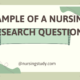 Example of a Nursing Research Question