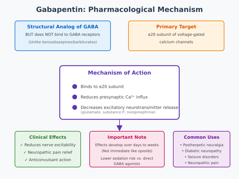 Gabapentin Mechanism of Action