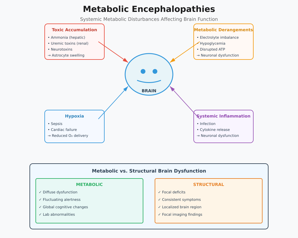Metabolic Encephalopathies