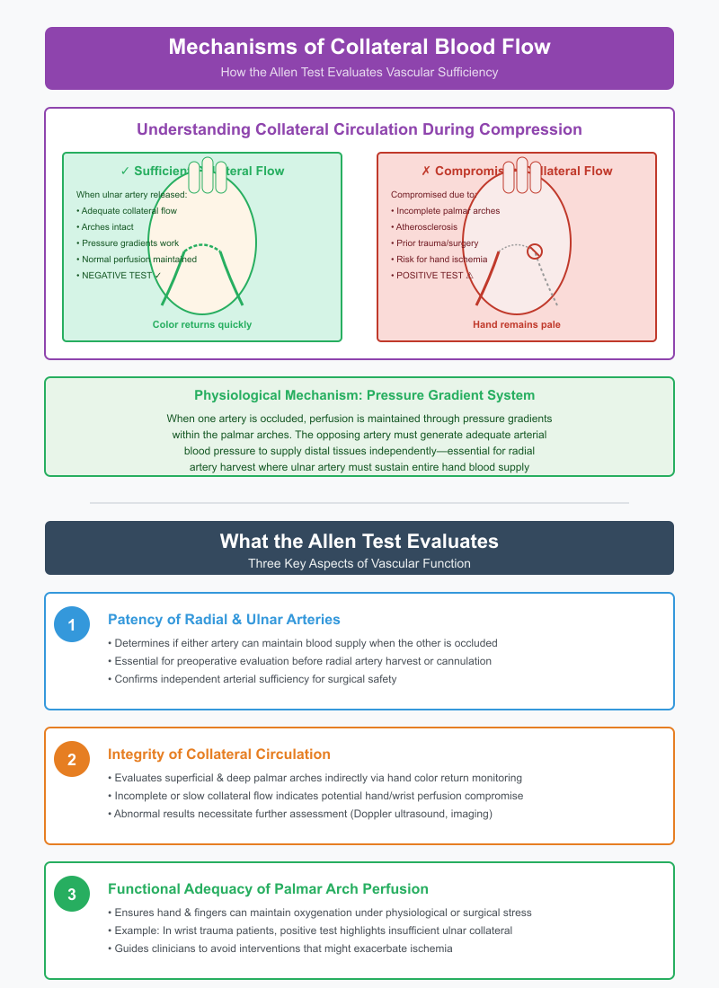 Allen Test for Blood Flow