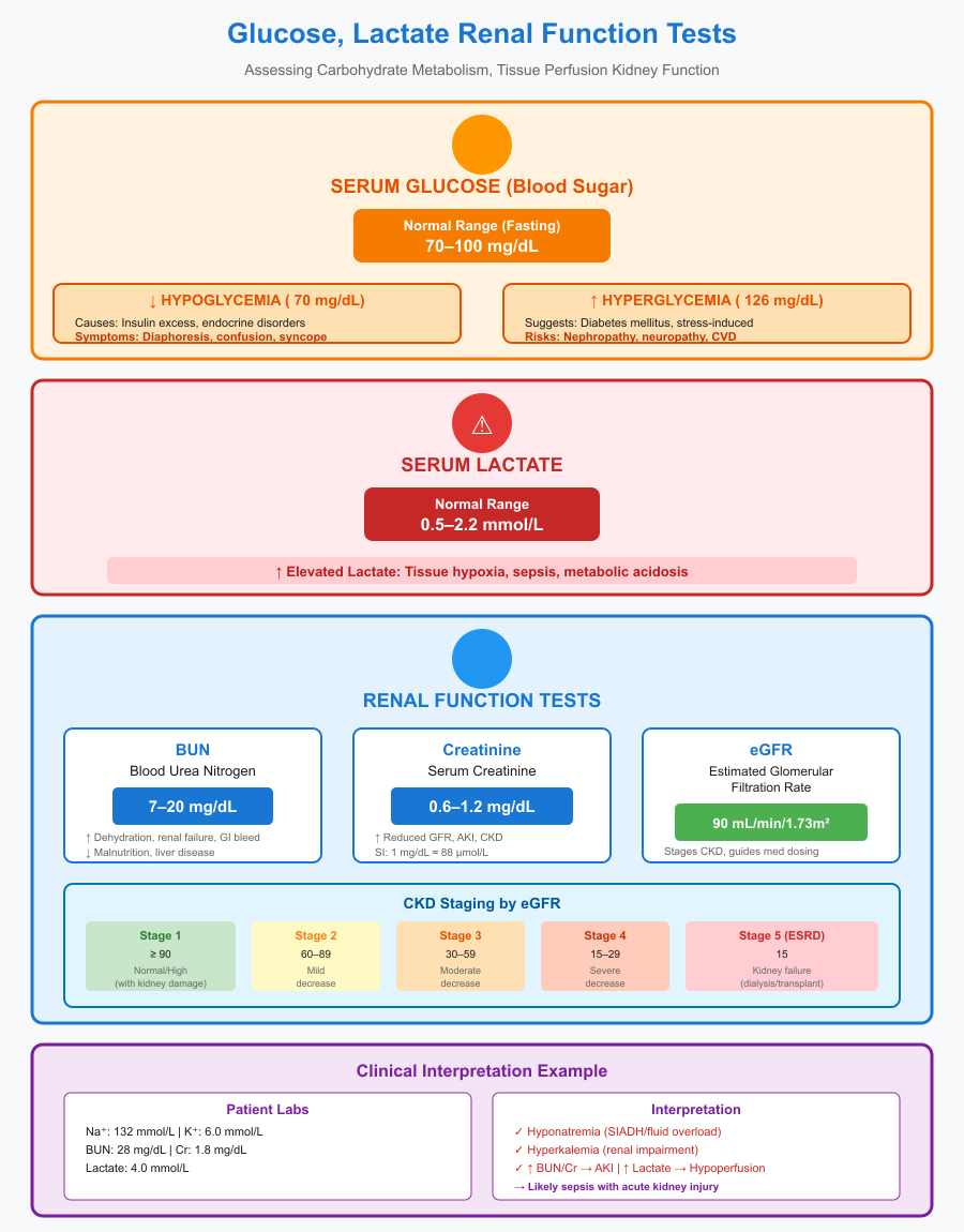 NBME and USMLE Lab Values