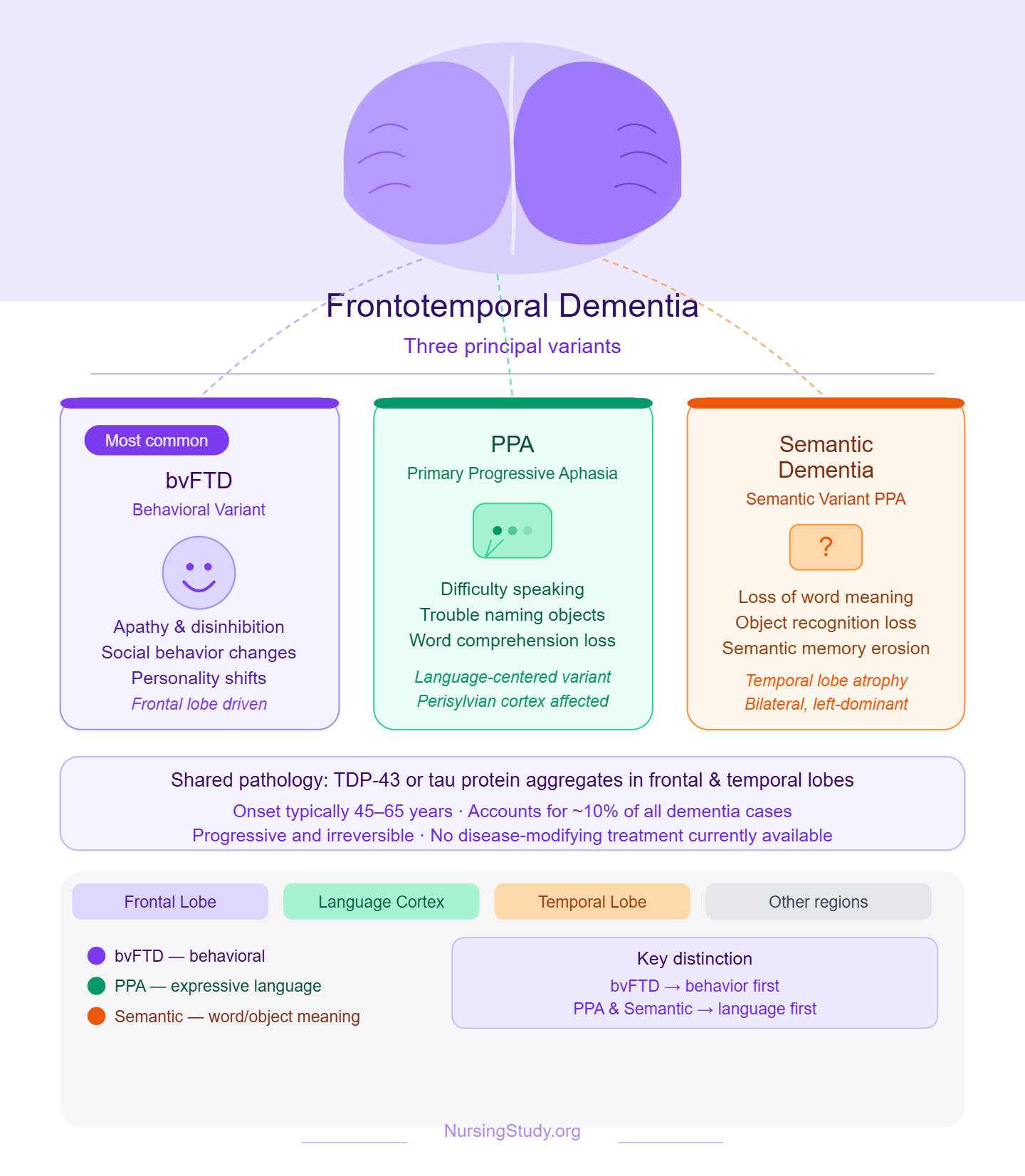 Frontotemporal Dementia