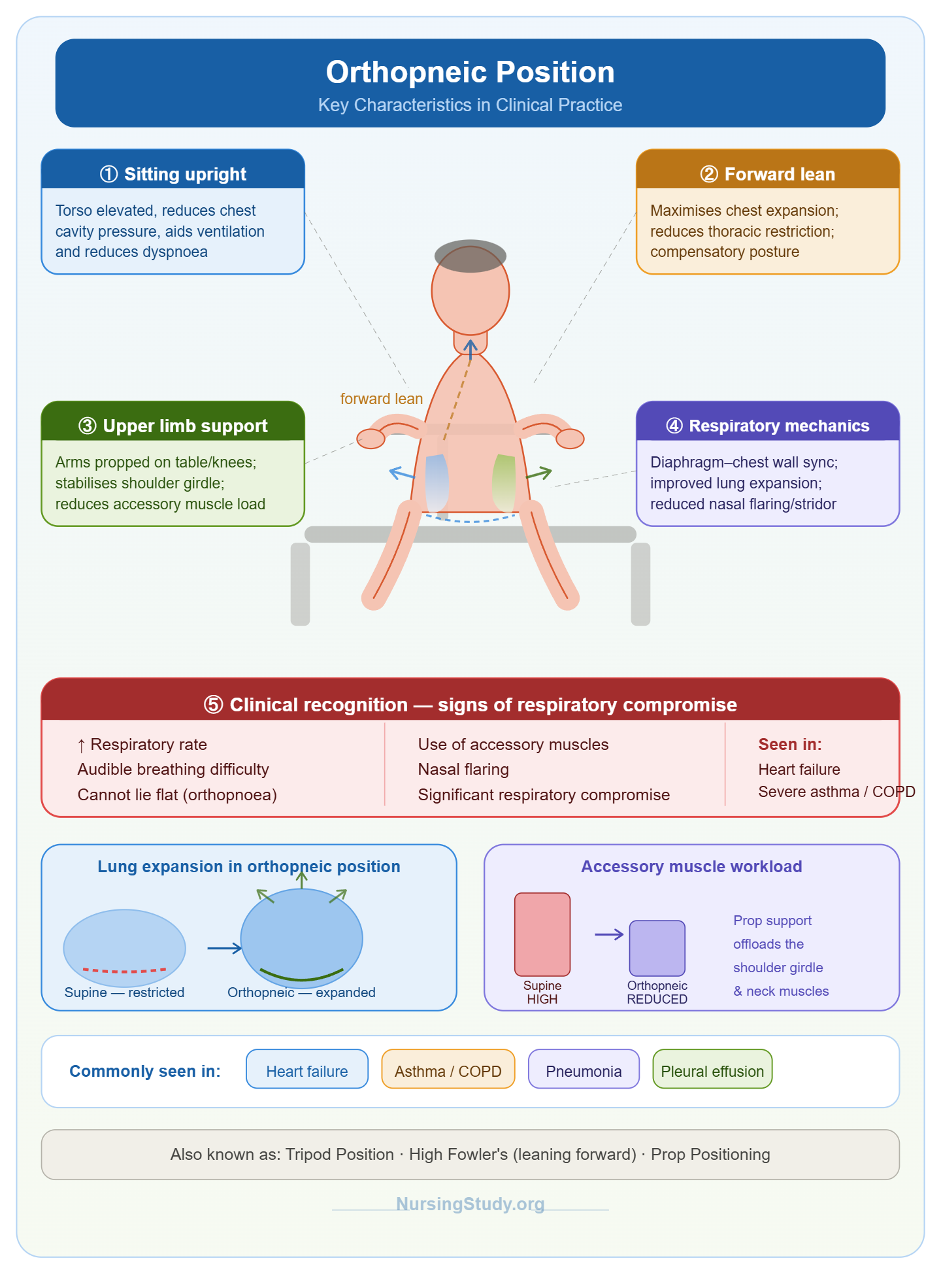 Orthopneic Position