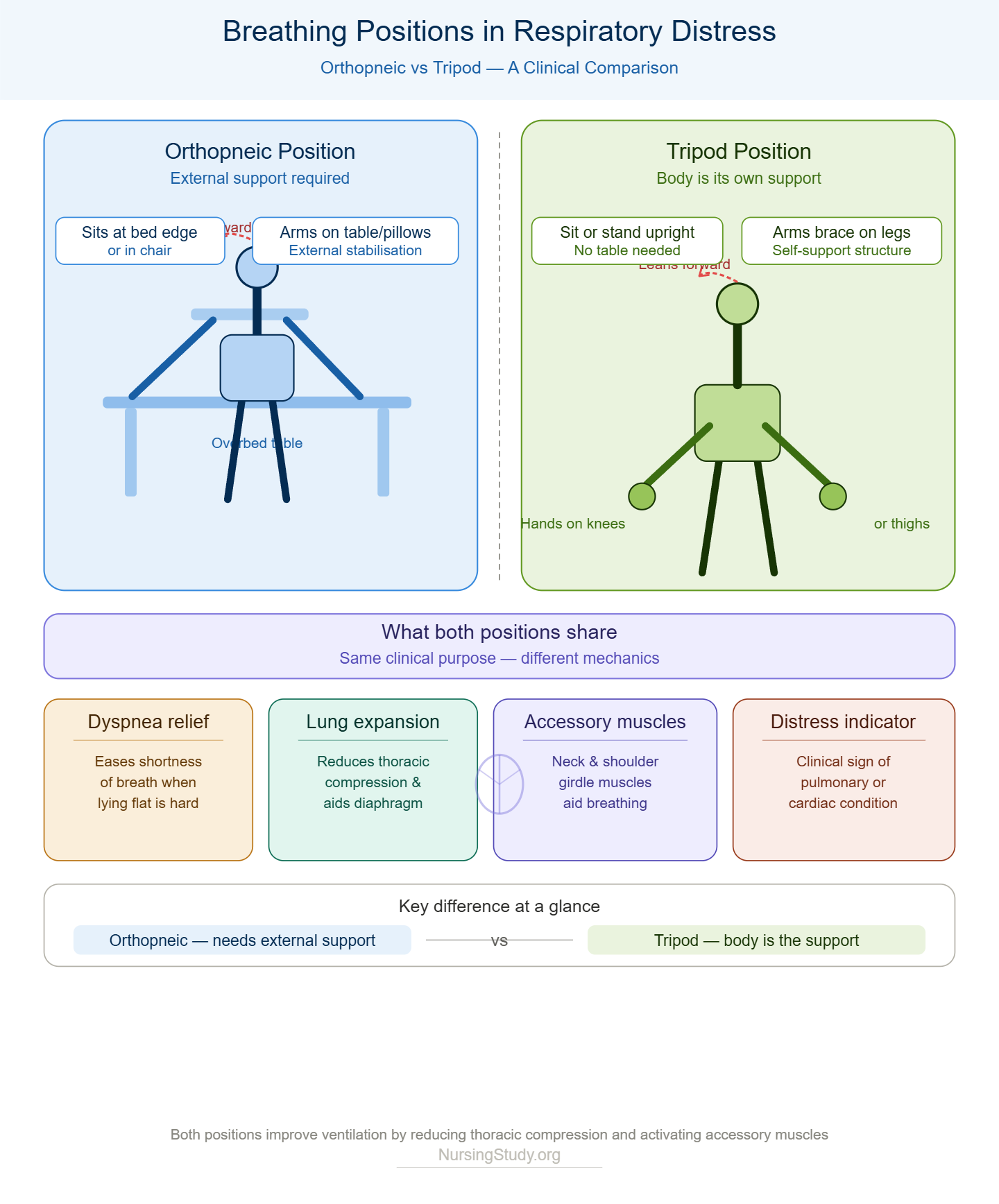 Orthopneic Position