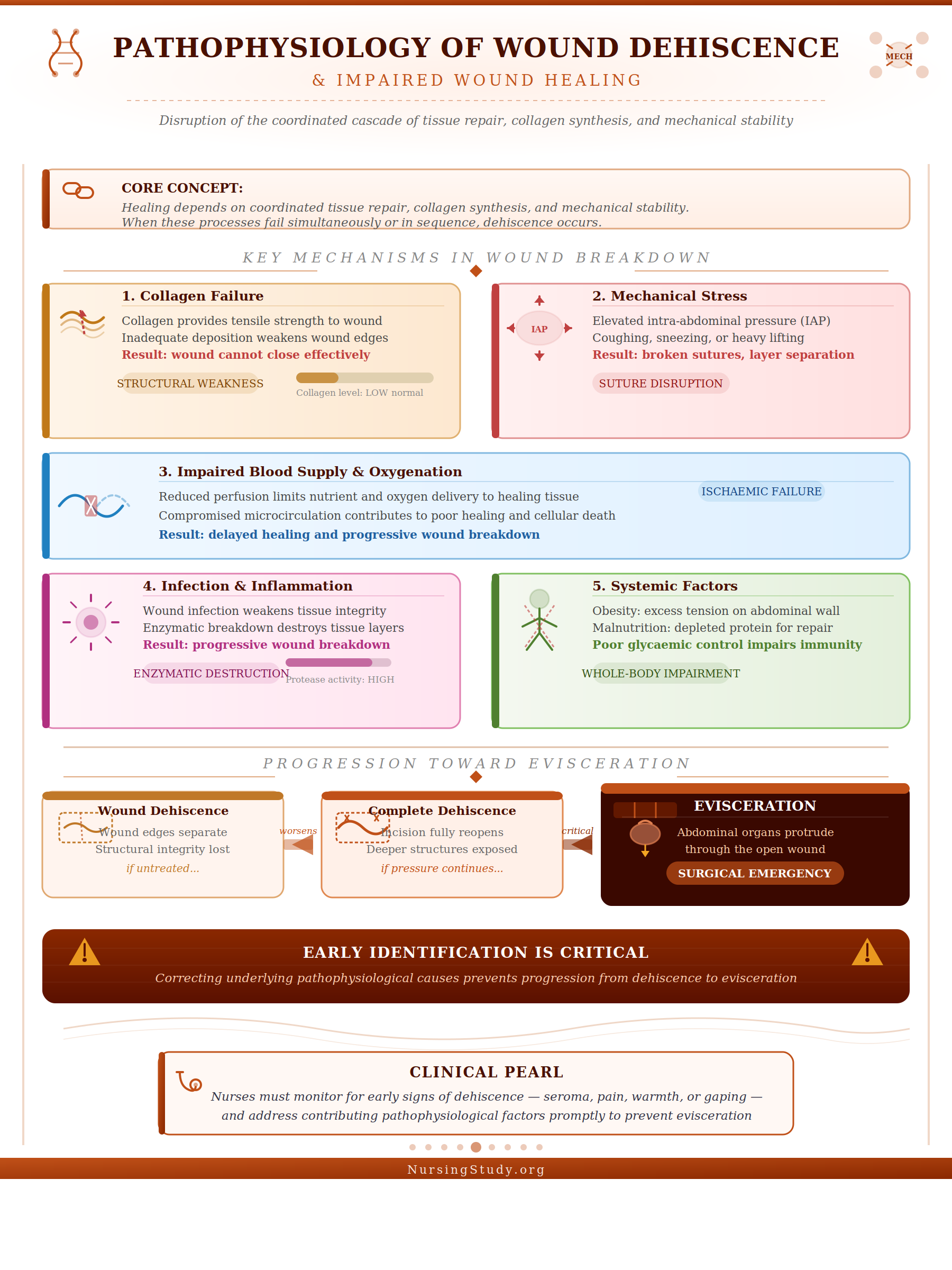 Wound Dehiscence and Evisceration